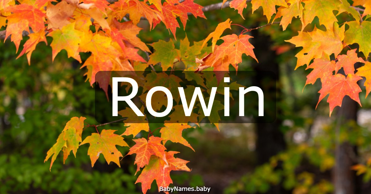 Rowin