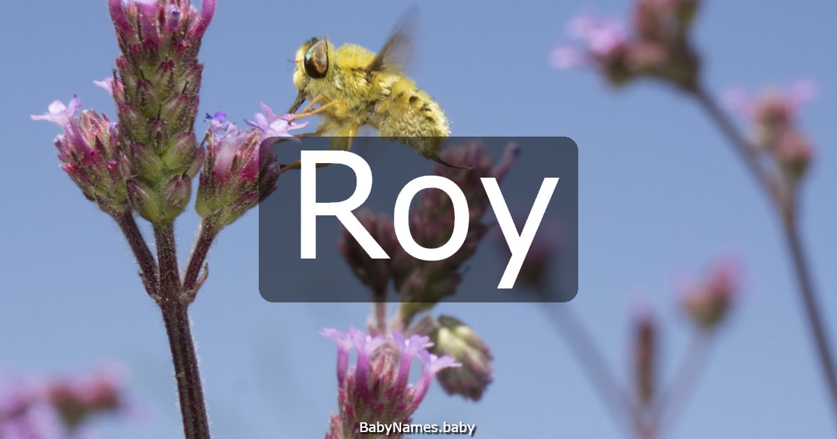 Roy