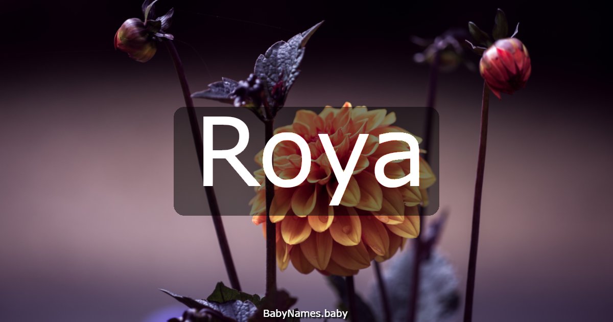 Roya