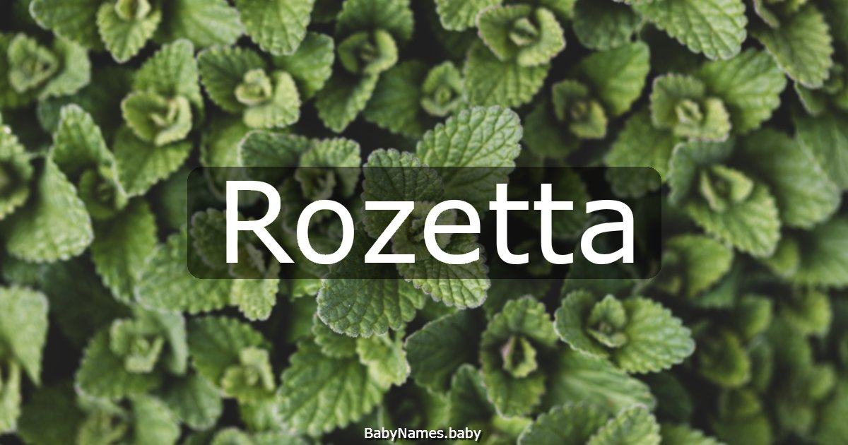 Rozetta