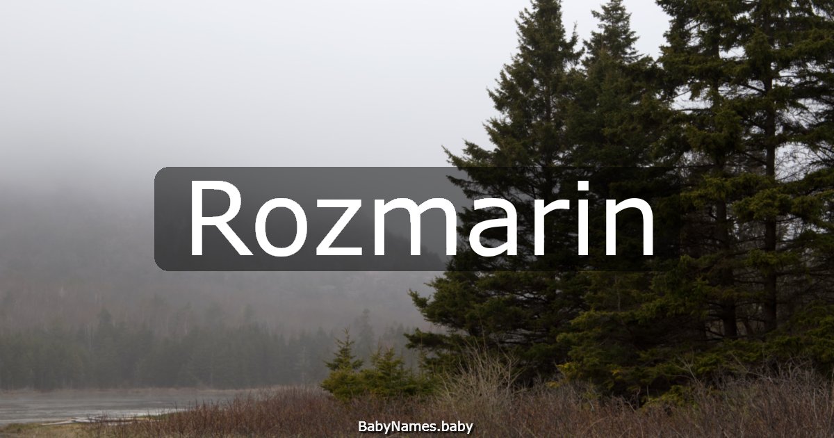 Rozmarin