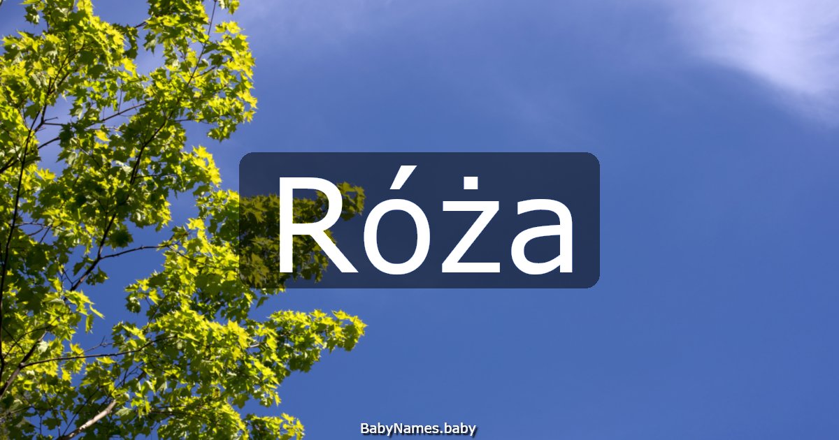 Róża