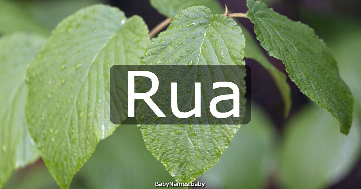 Rua