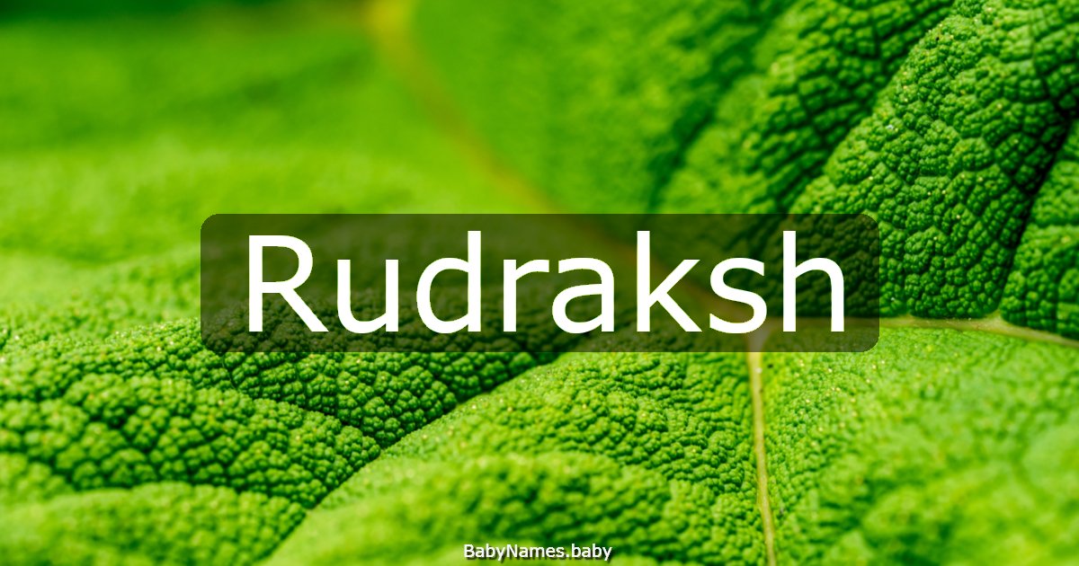 Rudraksh