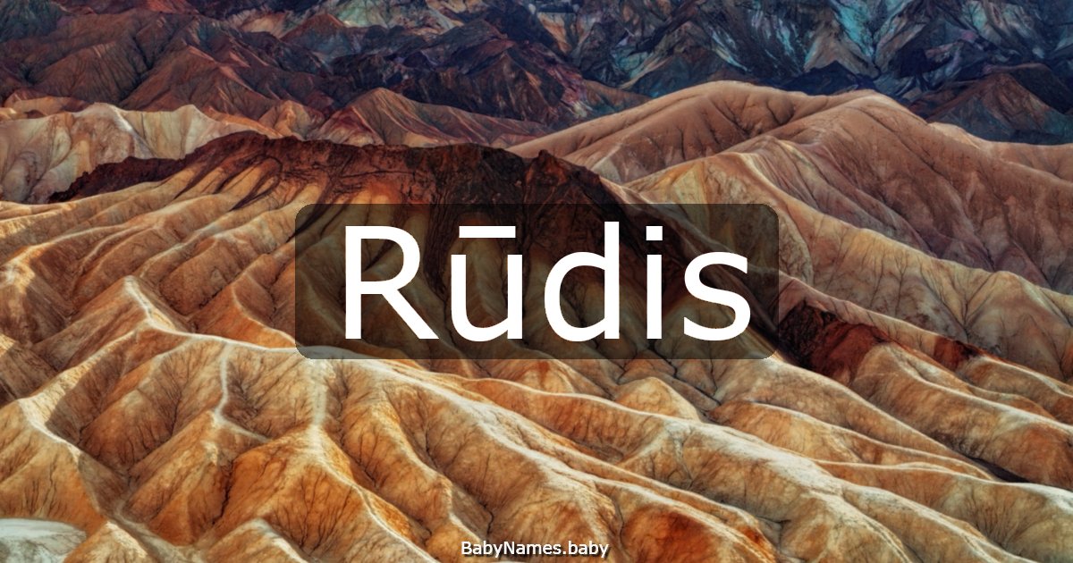 Rūdis