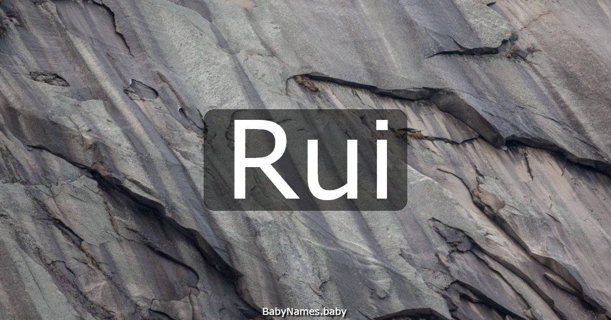 Rui