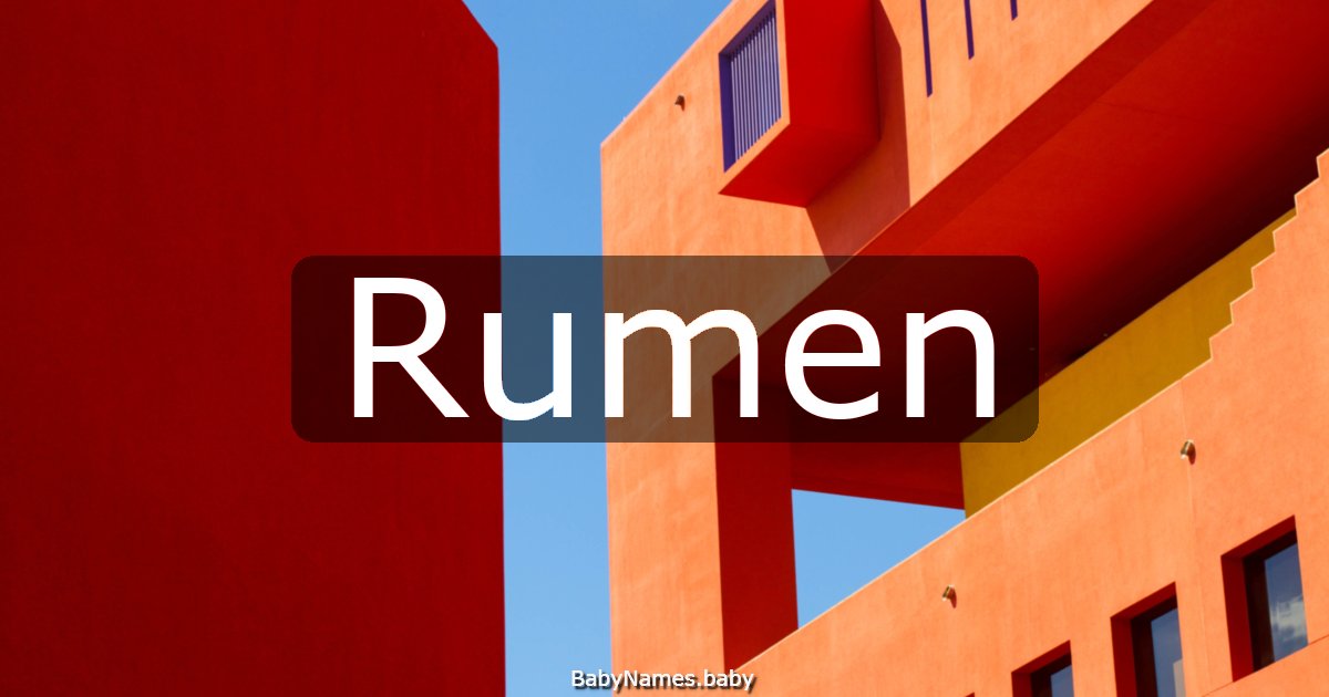 Rumen