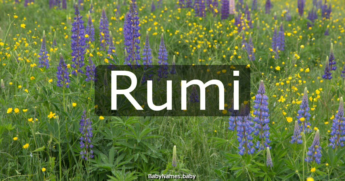 Rumi
