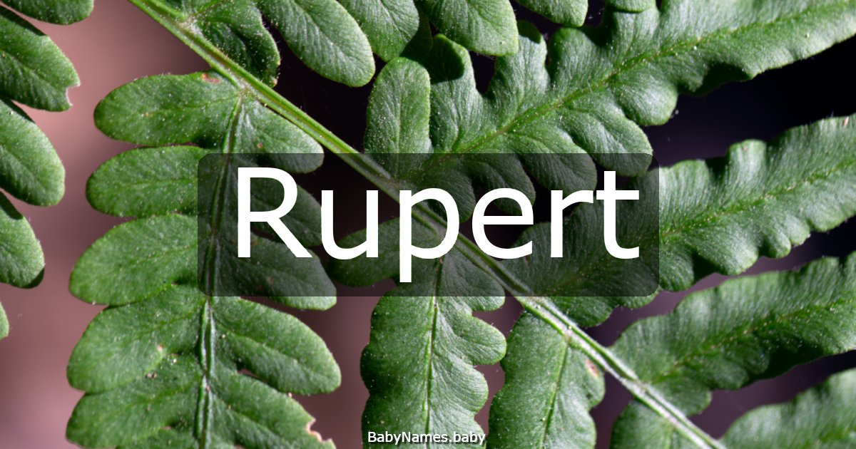 Rupert