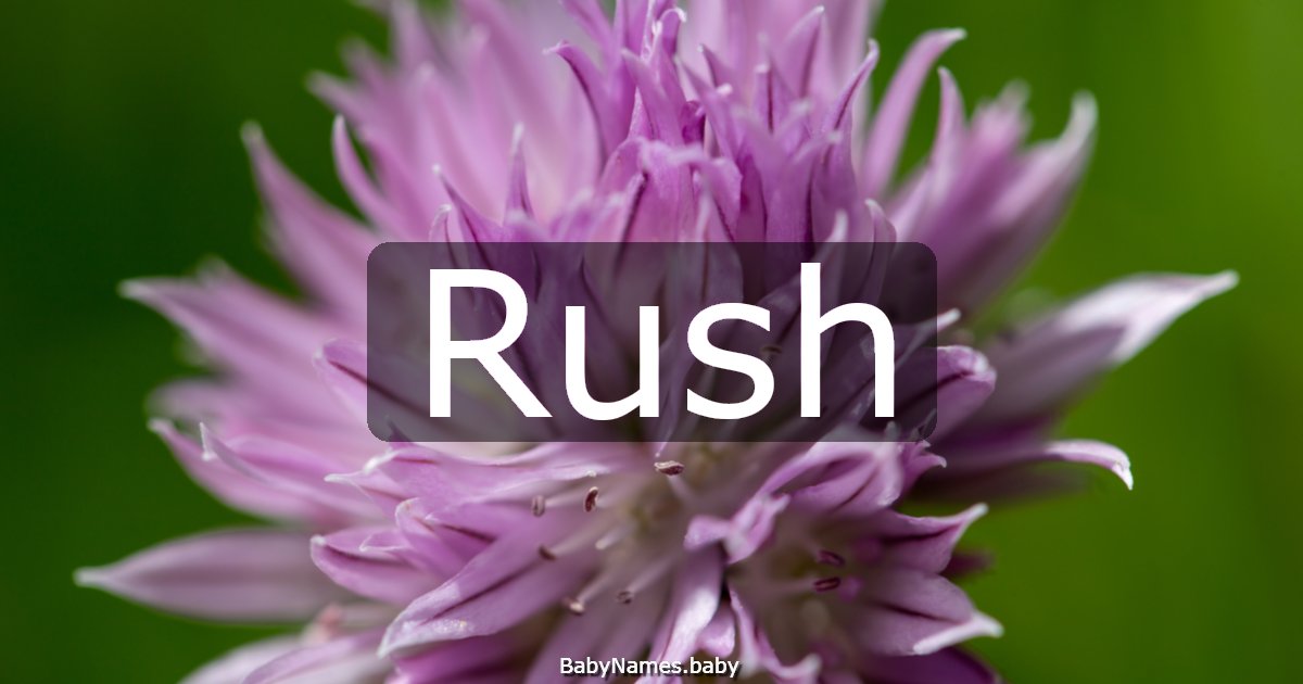Rush