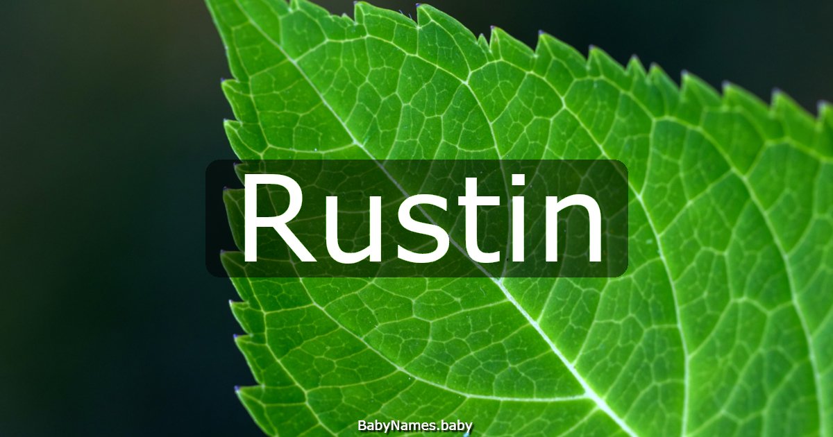 Rustin