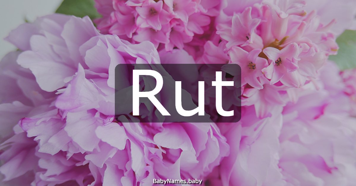 Rut