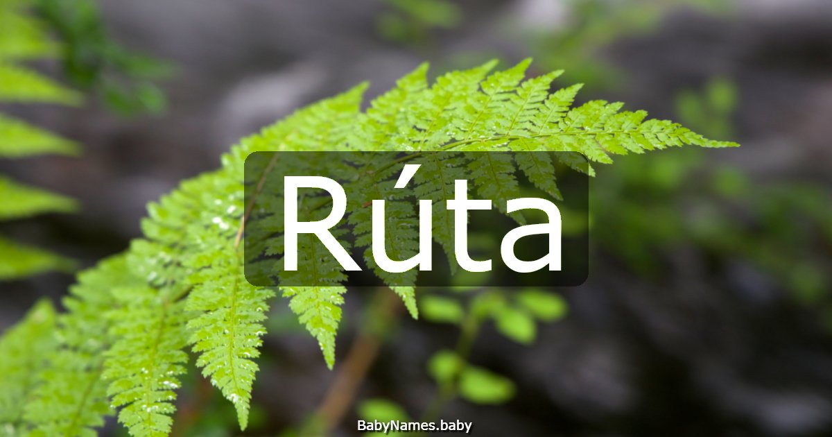 Rúta