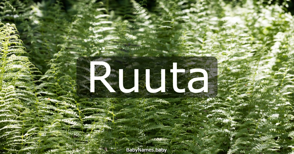 Ruuta