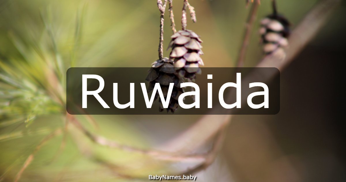 Ruwaida