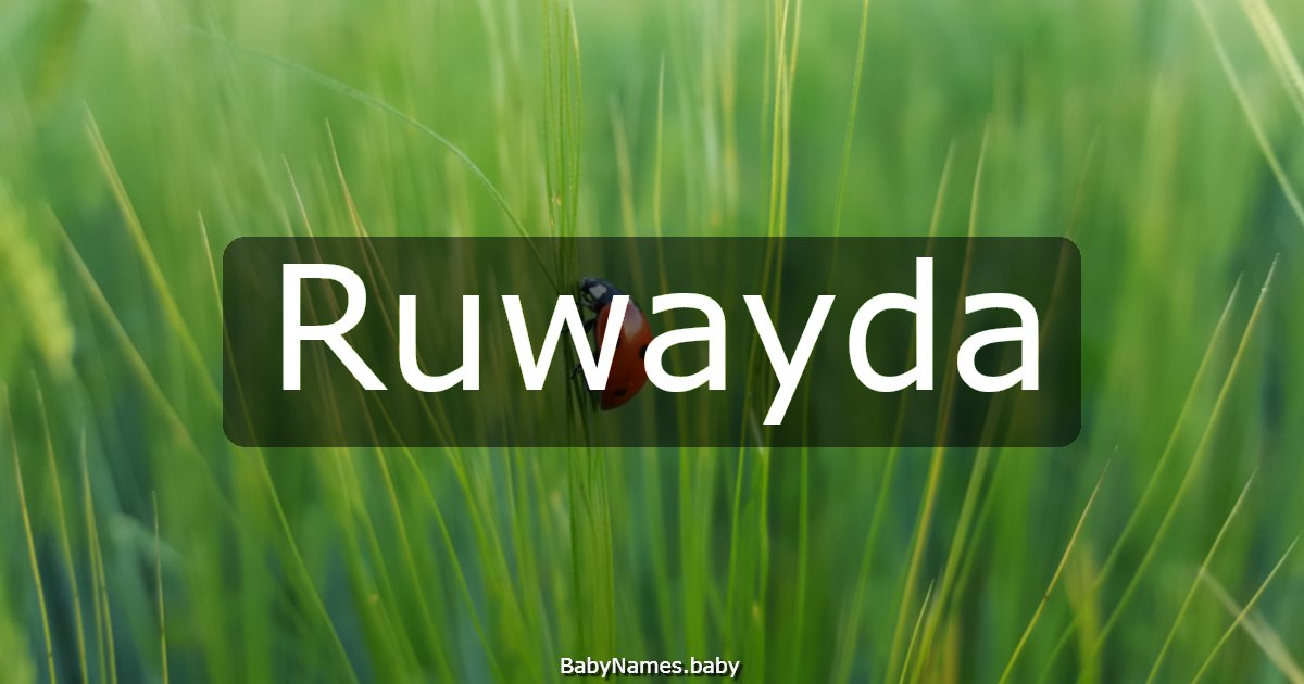 Ruwayda