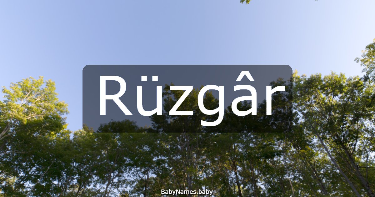Rüzgâr