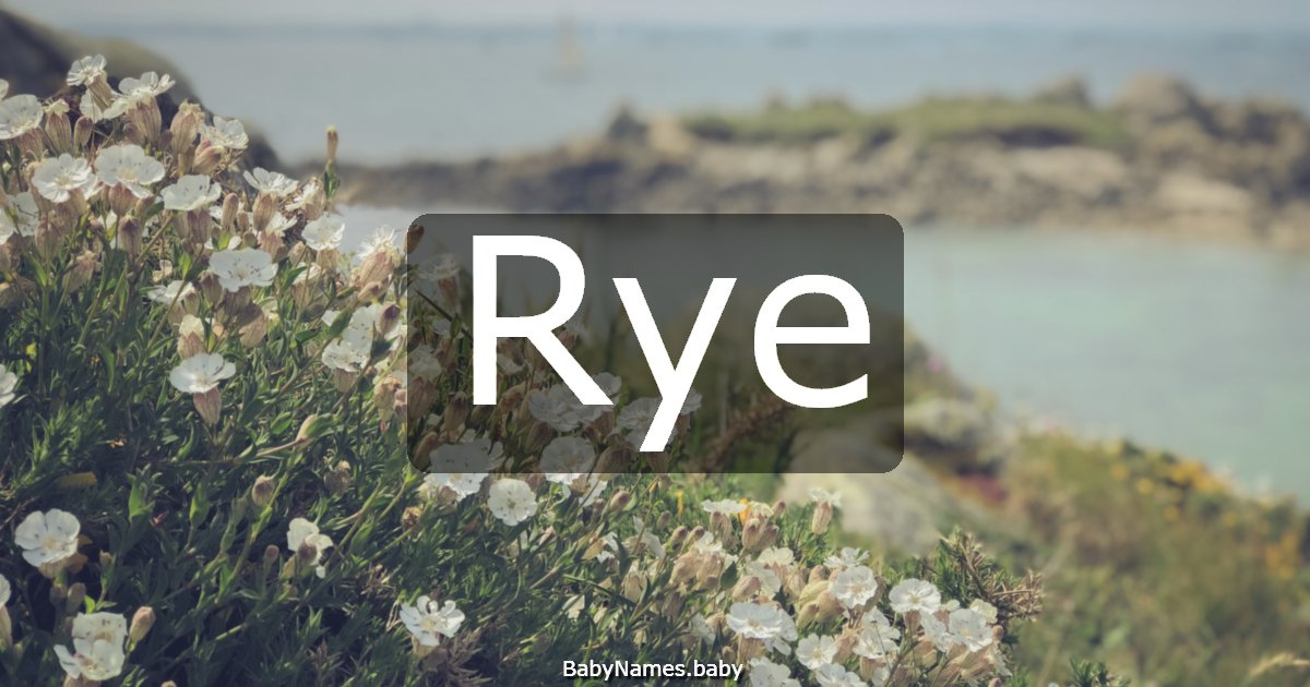 Rye