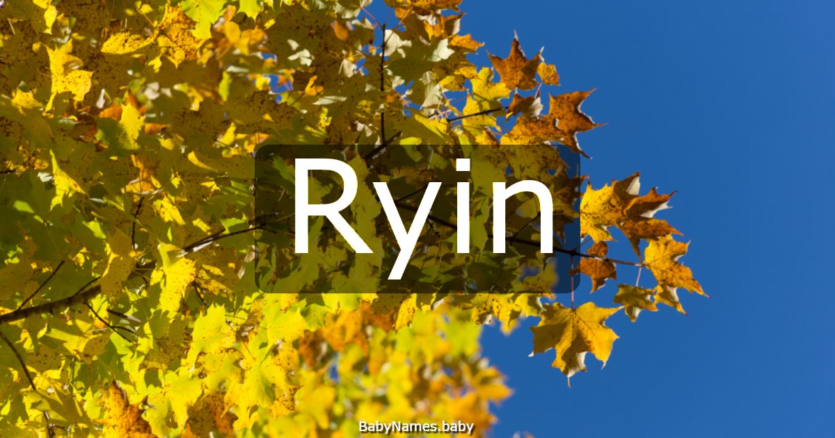 Ryin