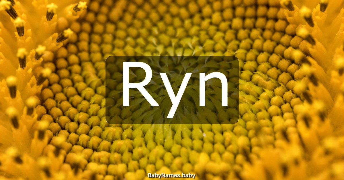 Ryn