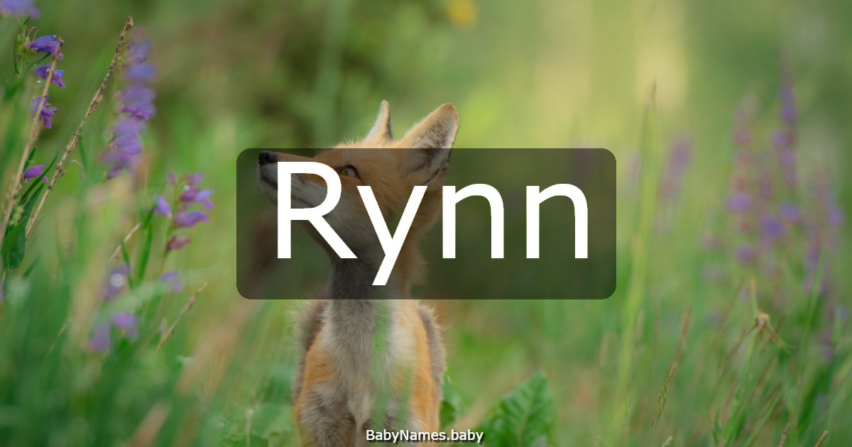 Rynn