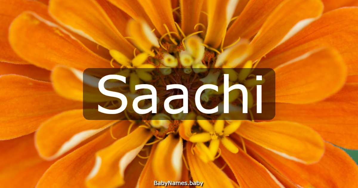 Saachi