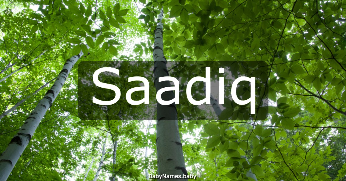 Saadiq
