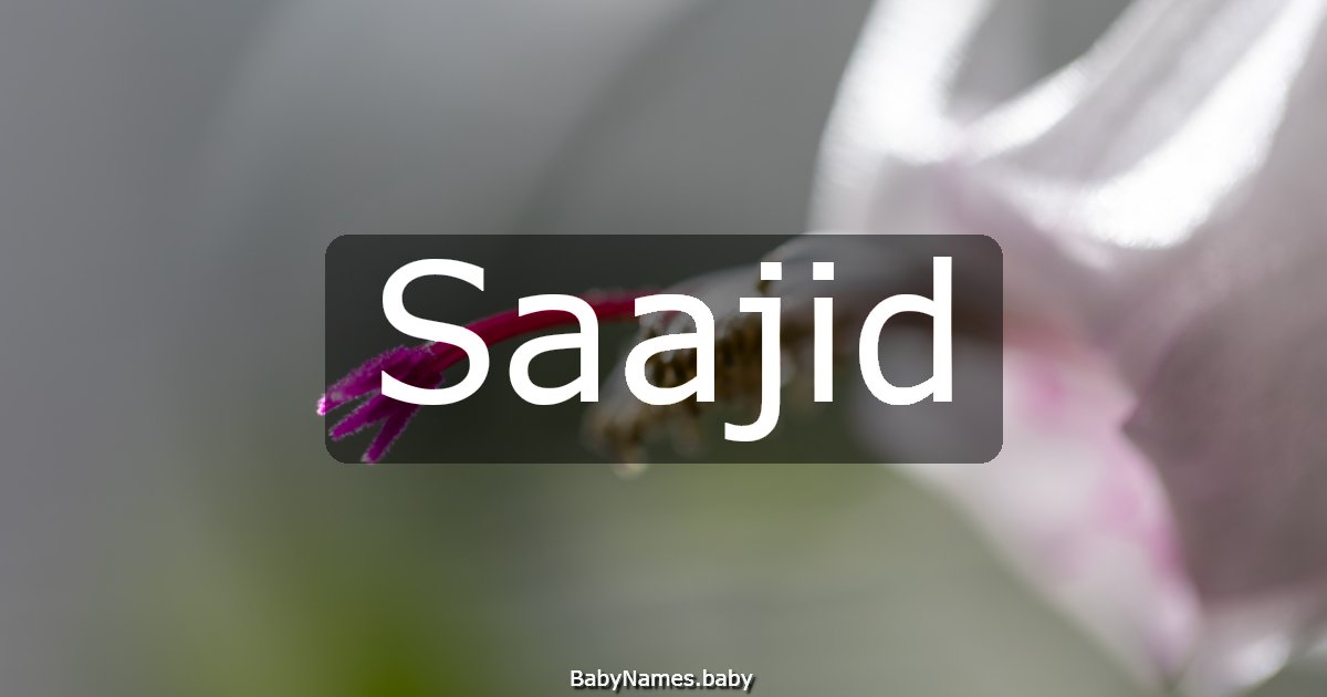 Saajid