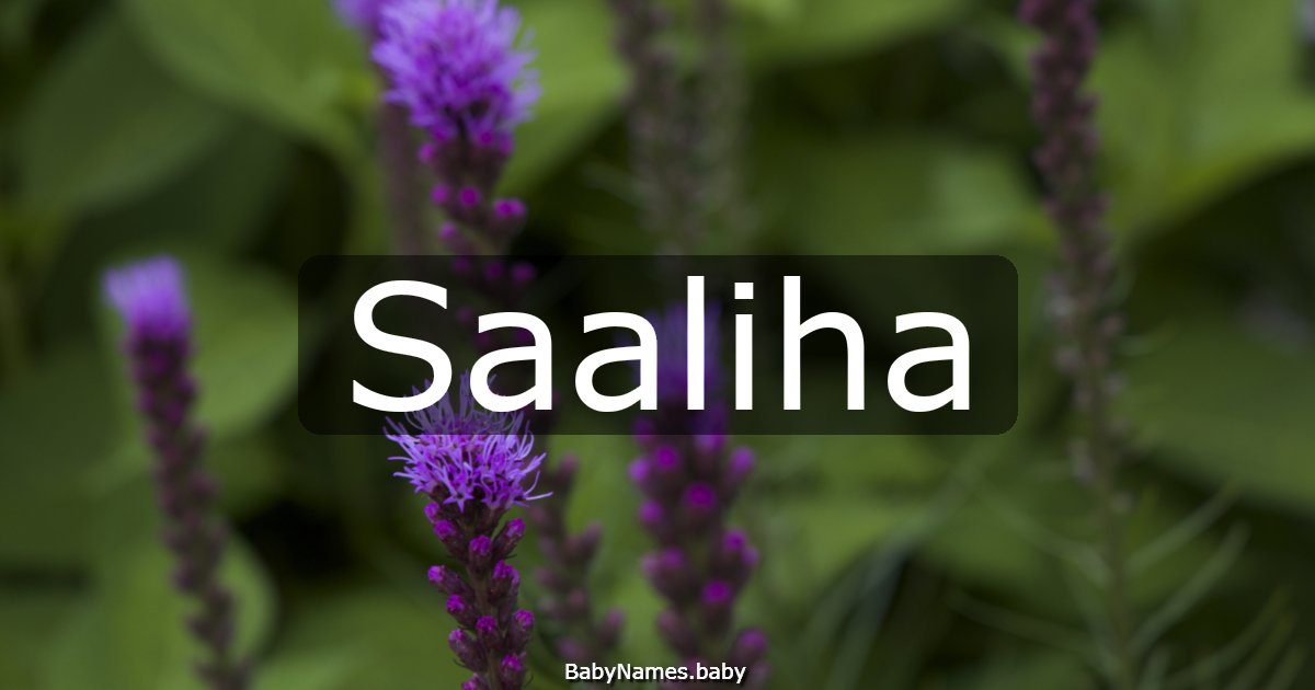Saaliha