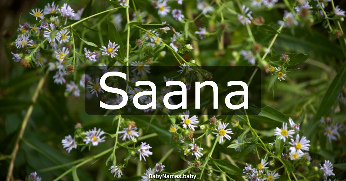 Saana