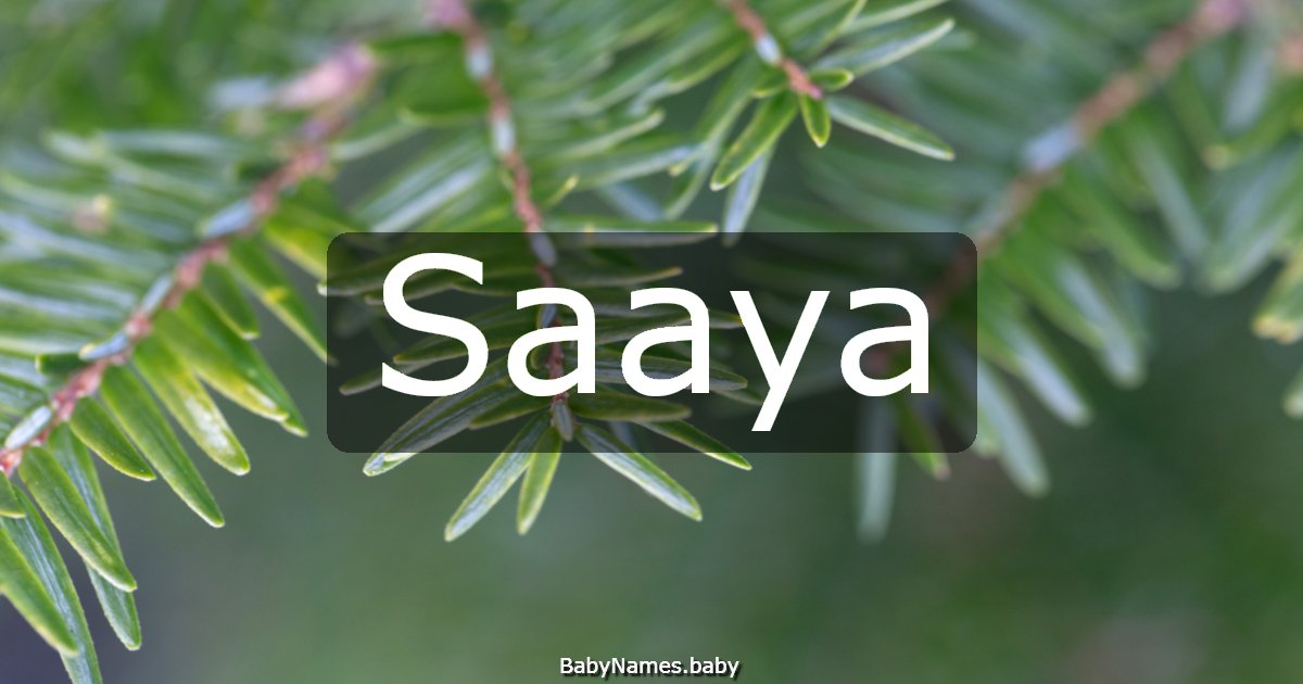 Saaya