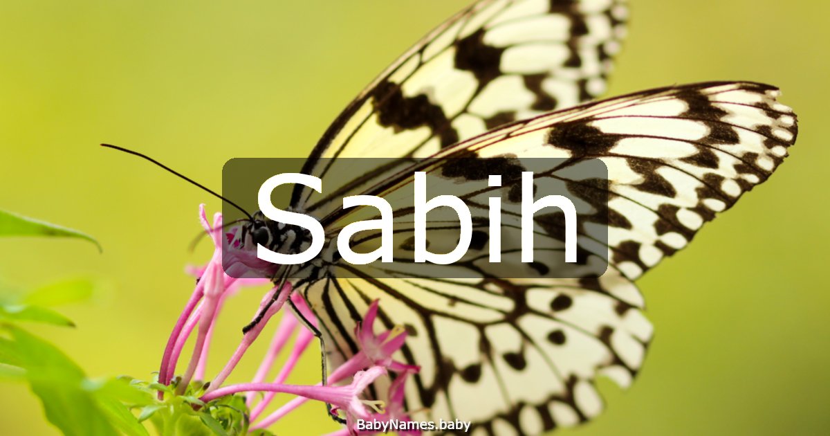 Sabih