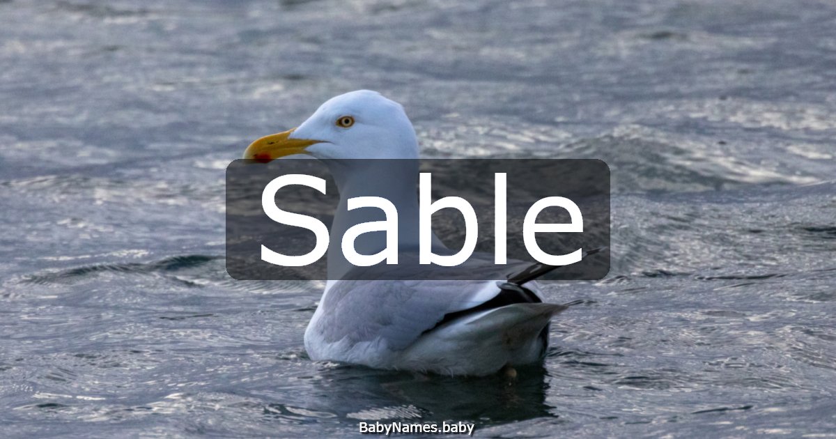 Sable