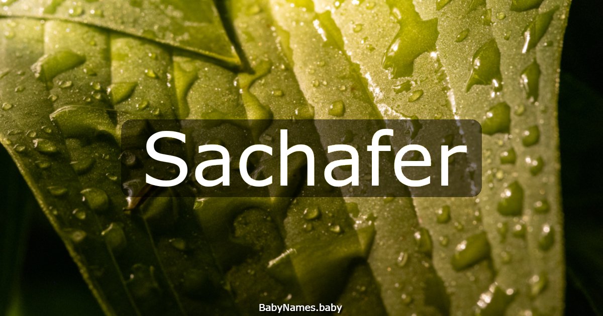 Sachafer