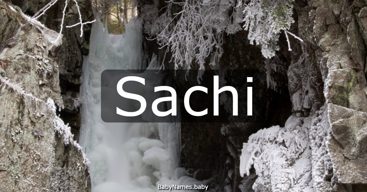 Sachi