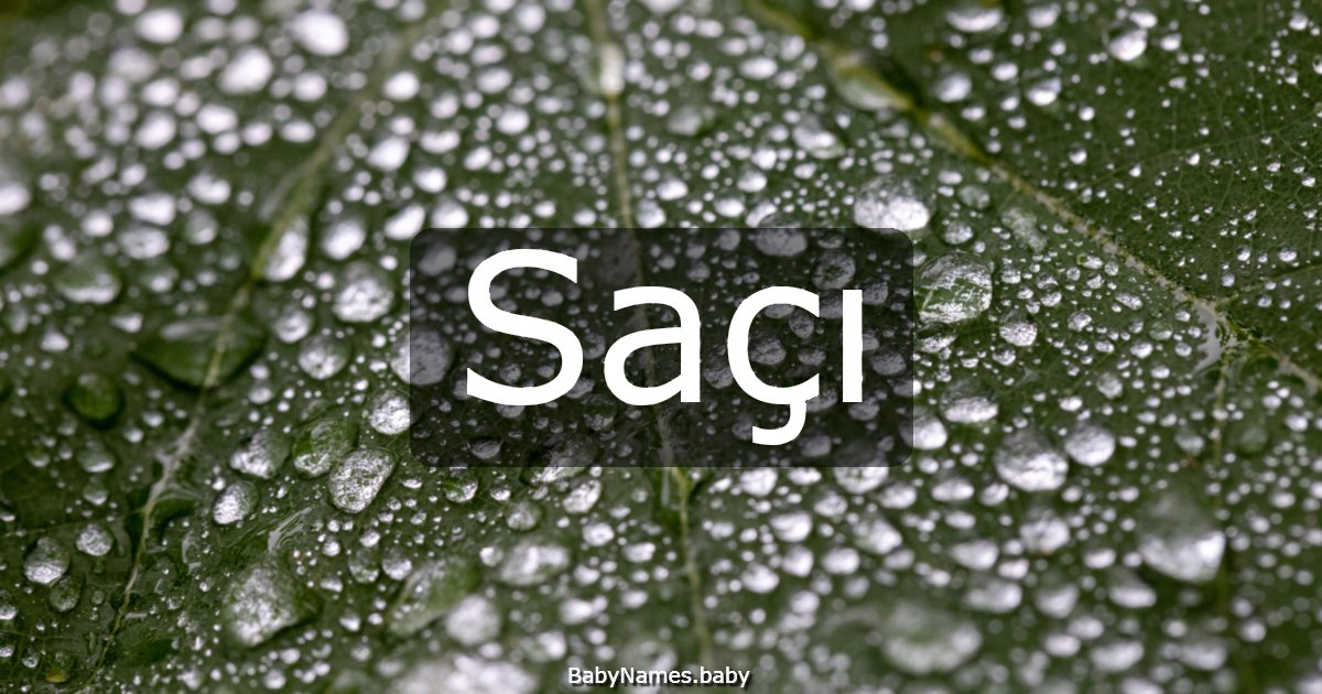 Saçı