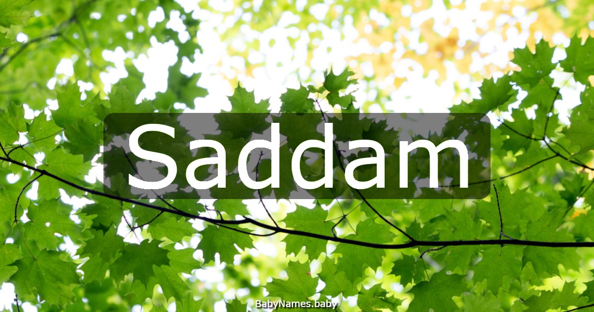 Saddam