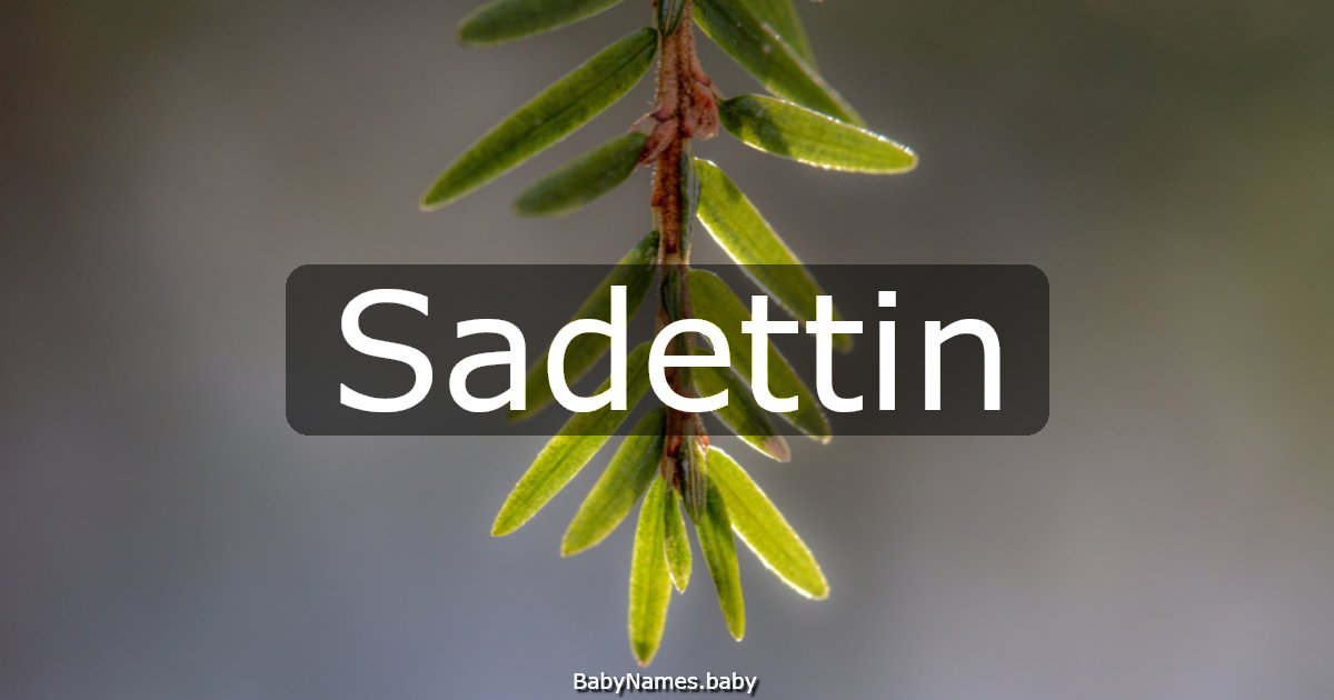 Sadettin