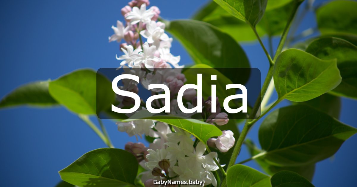 Sadia