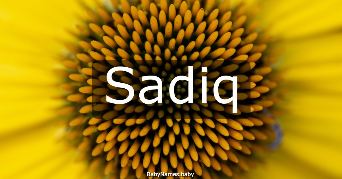 Sadiq