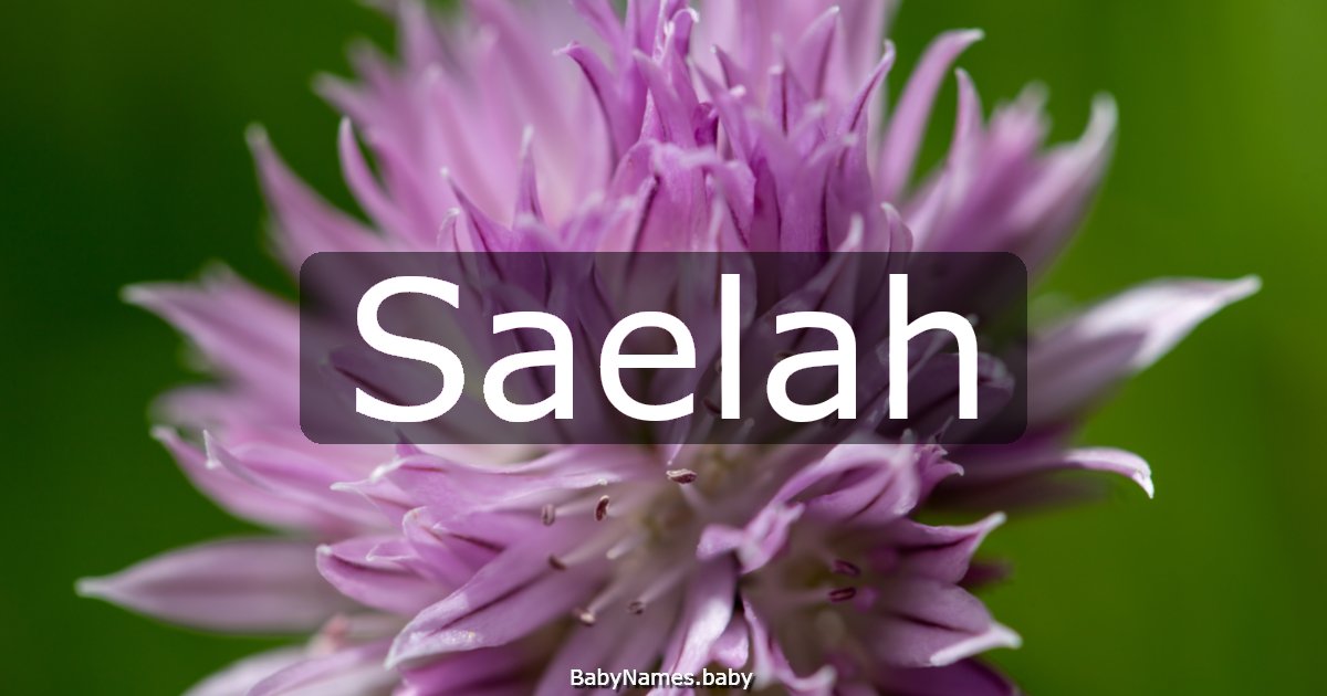Saelah