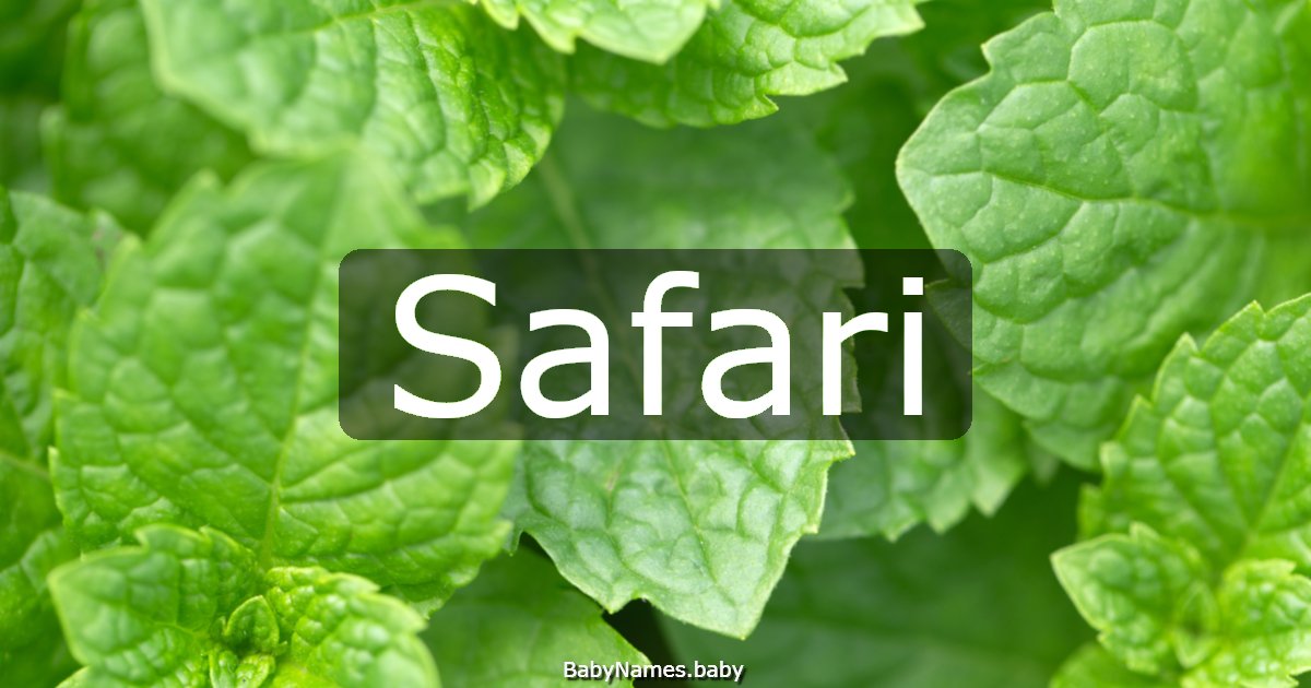 Safari