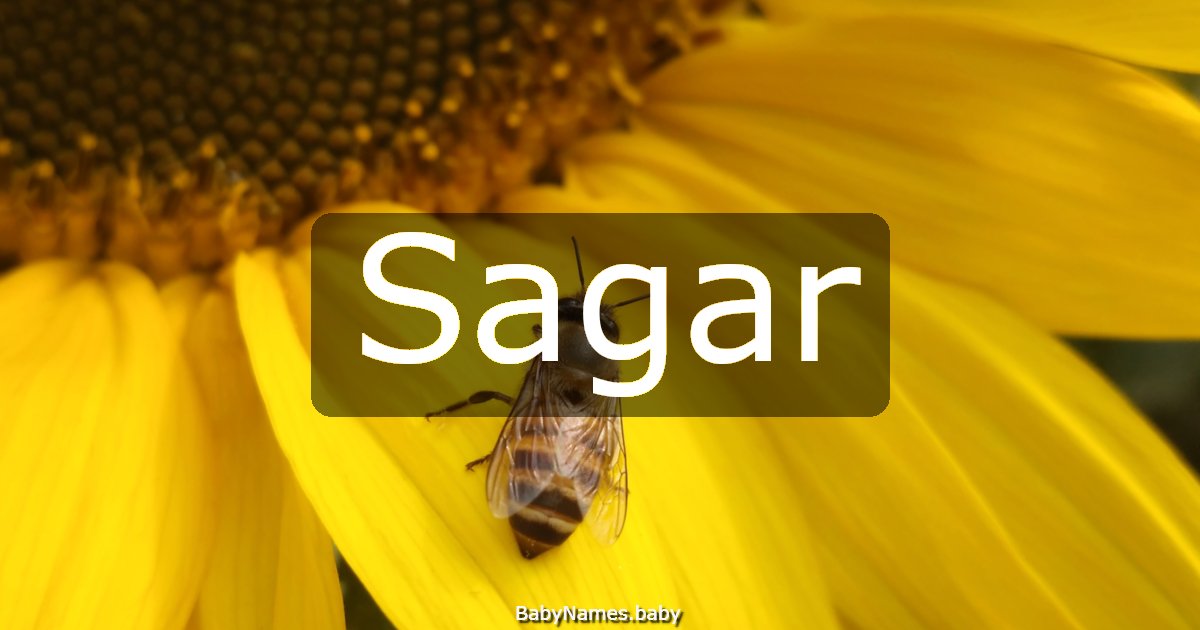 Sagar