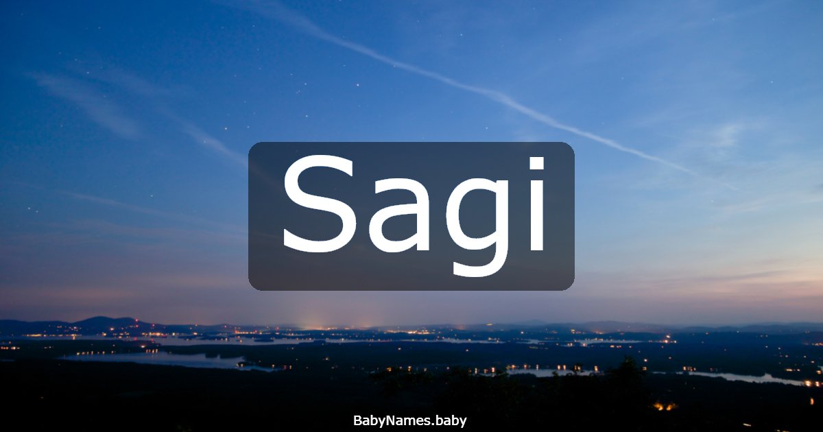 Sagi