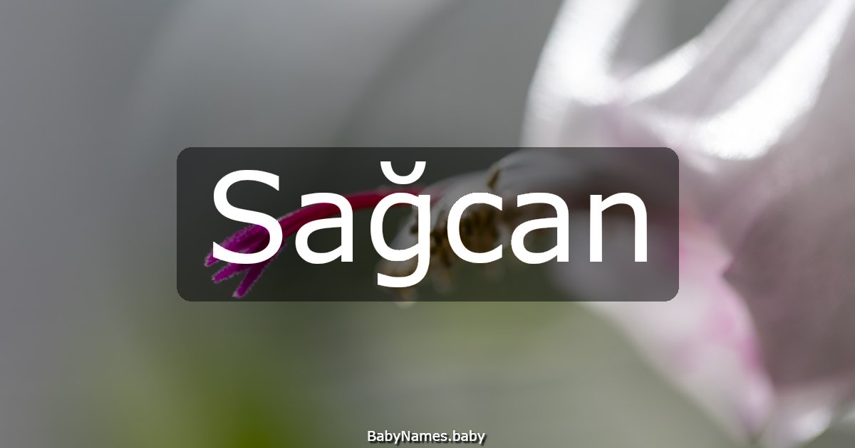 Sağcan