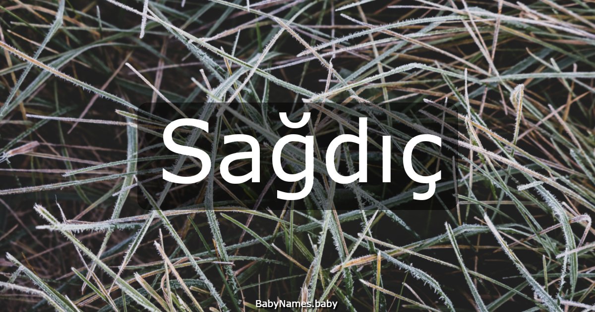 Sağdıç