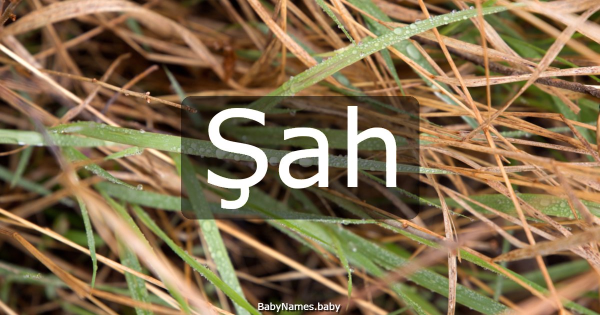 Şah