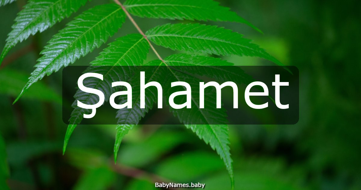 Şahamet