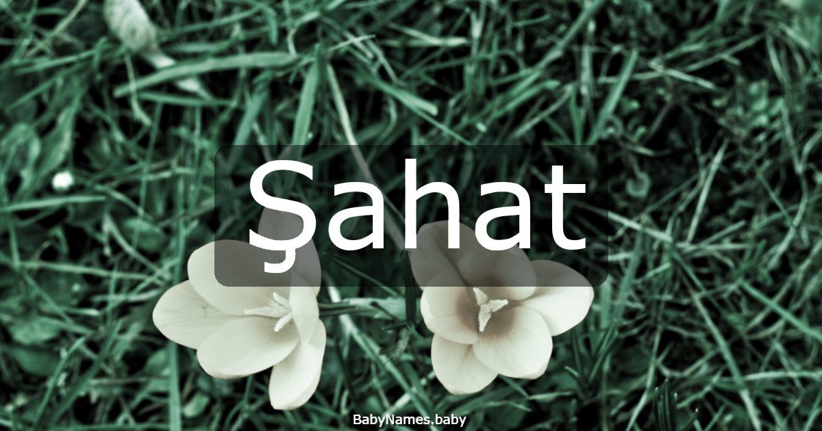 Şahat
