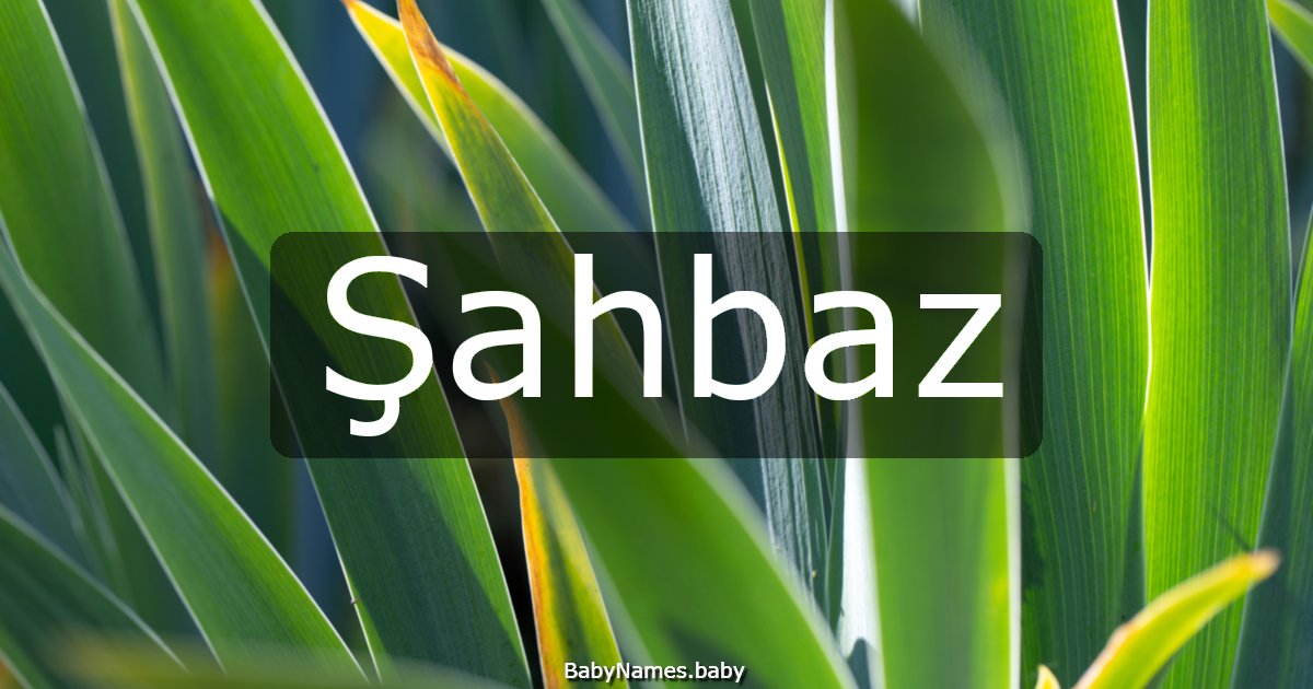 Şahbaz